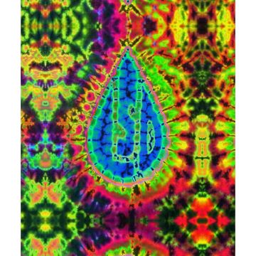 Feed A Hippie Psychedelic LSD Tie-Dye Tapestry