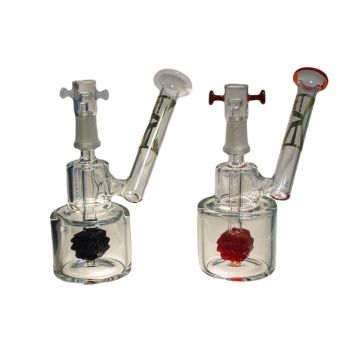 Evolution Bristol Percolator Dab Rig