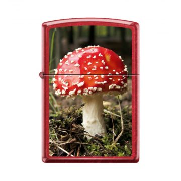 Zippo Aminita Mushroom Lighter