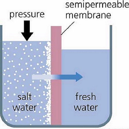 Reverse osmosis cannabis